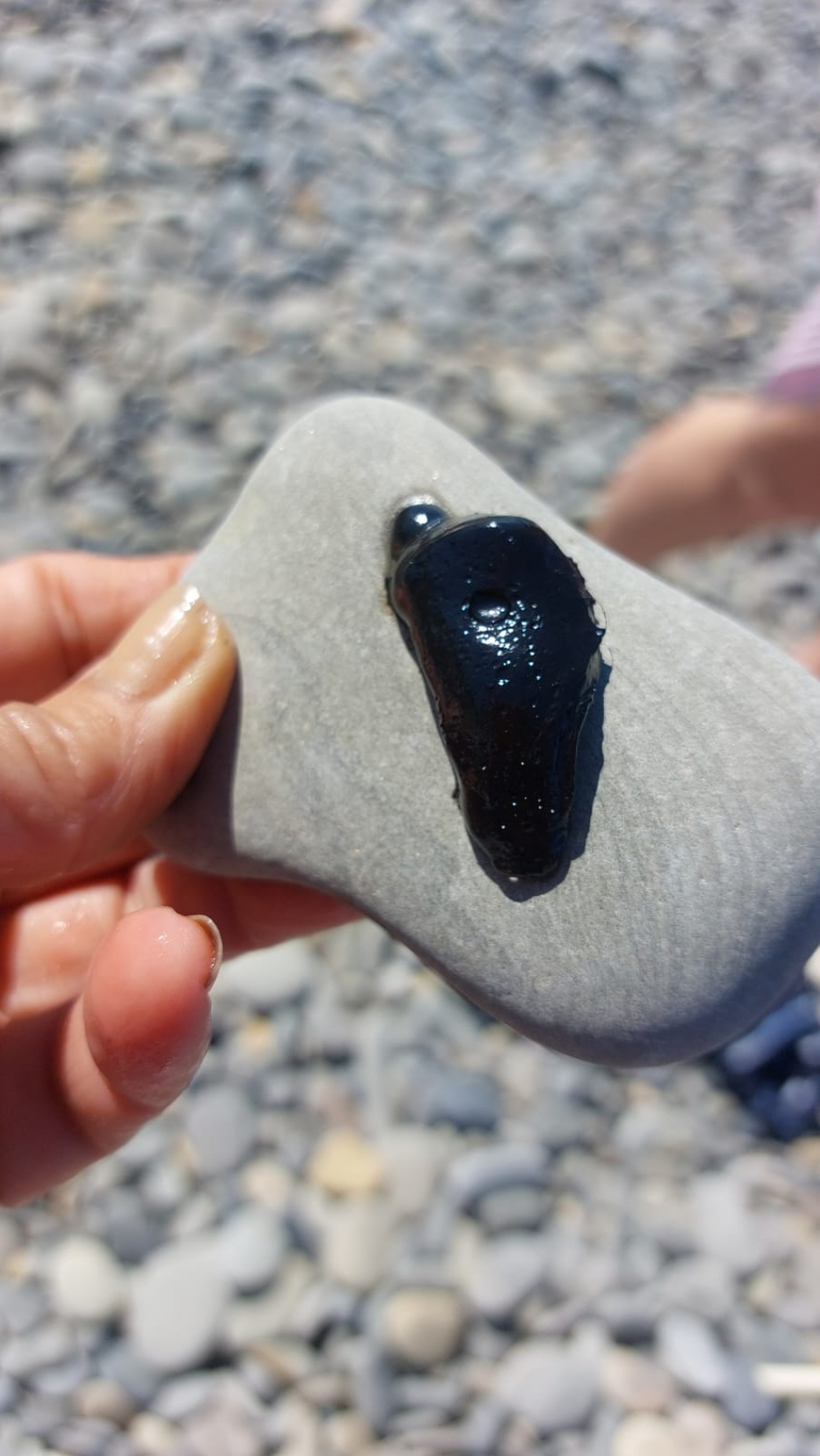 Туристов и новороссийцев на пляжах в начале сезона встретили нефтепродукты