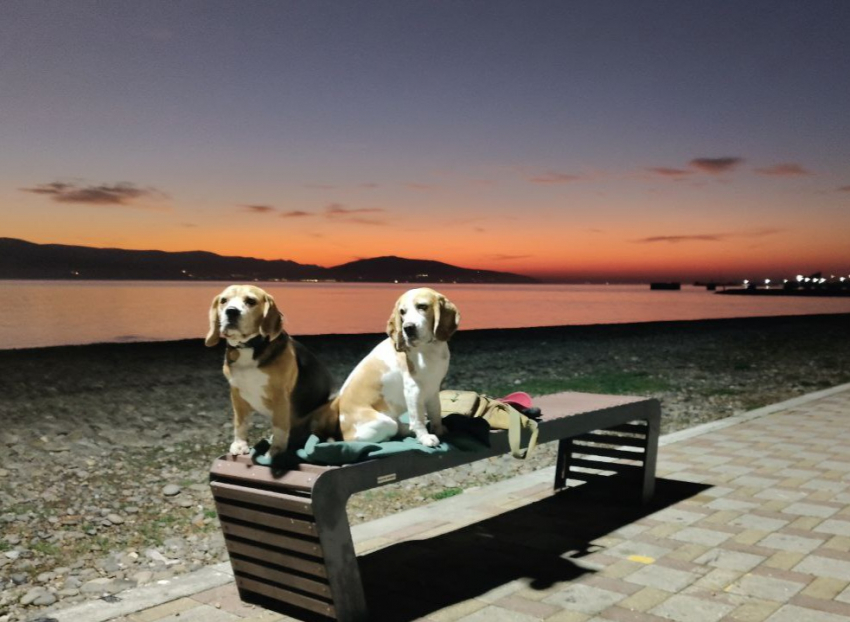 Гороскоп от «Блокнота»: у Водолеев романтика, а Весы захотят сменить обстановку