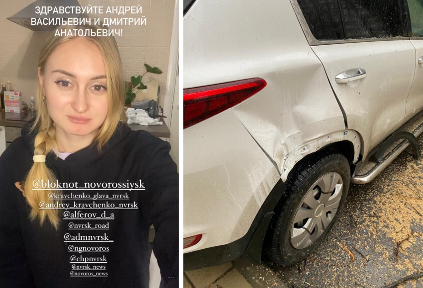 Дерево упало на припаркованный автомобиль: жительница Новороссийска намерена взыскать ущерб
