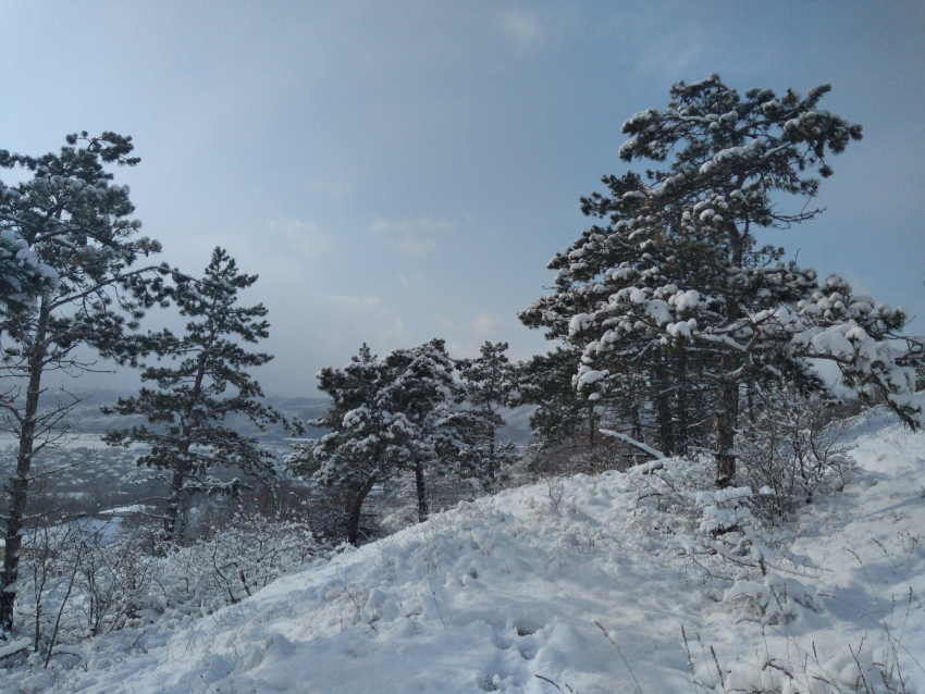 Воскресенье будет морозным в Новороссийске 