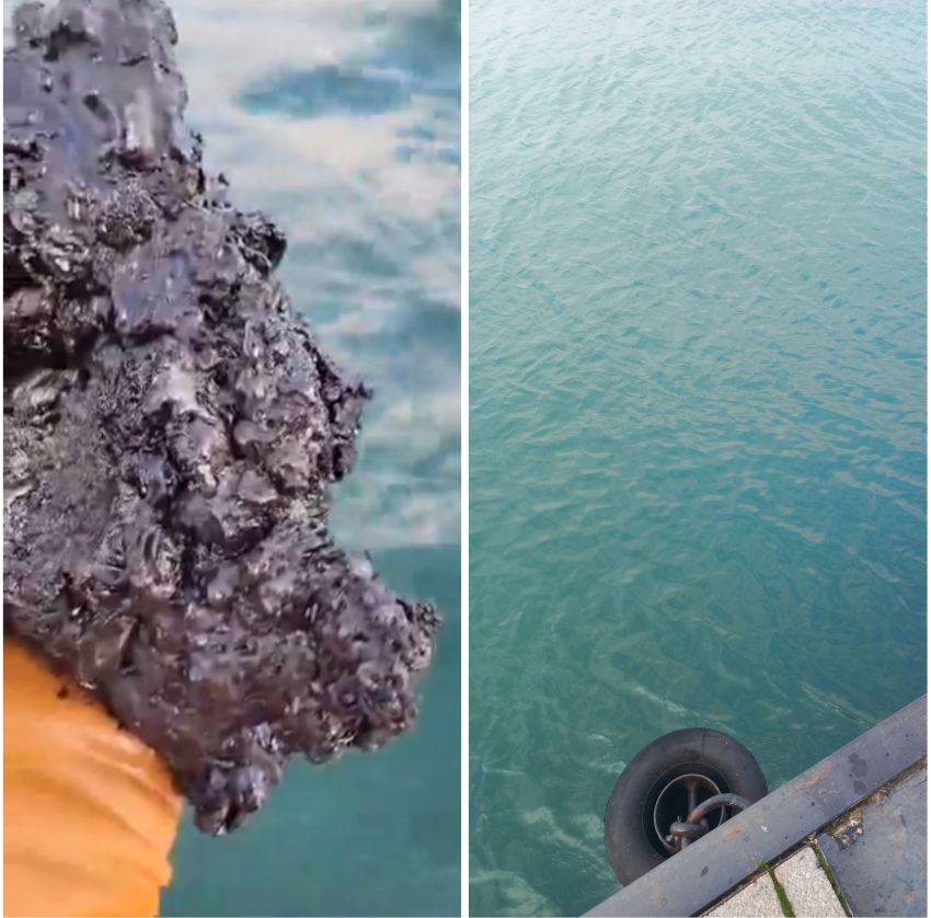 В Цемесской бухте новороссийцы обнаружили сотни «нефтяных» кусков 