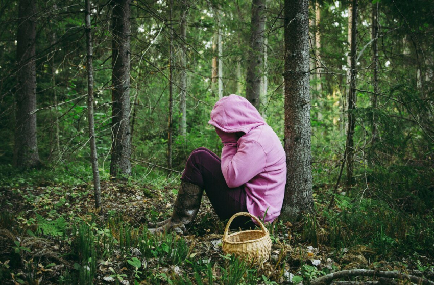 Заблудилась и провела ночь в лесу: спасатель из Новороссийска о грибниках и их исчезновениях