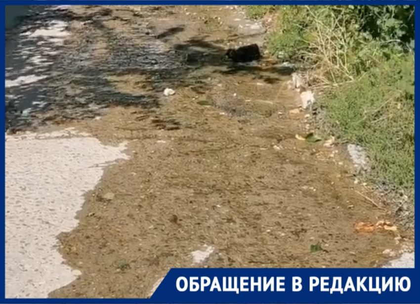 «Люди живут без воды, а у нас улицы топит», - жительница Новороссийска об очередной утечке