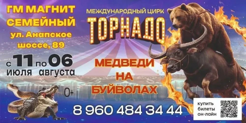 Цирк «Торнадо» - за гранью реальности: шоу в Новороссийске уже с самом разгаре!