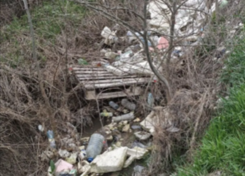 «Здесь не люди живут?»: новороссийцы жалуются на мусор, несмотря на субботники и отчеты чиновников