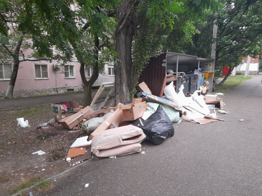 "ЭкоЮг» могут обязать изменить график вывоза мусора в Новороссийске 