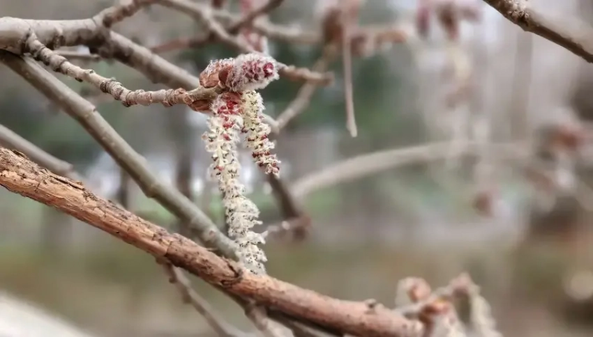 Для Овнов наступило время действовать, а Стрельцам пора расширить кругозор