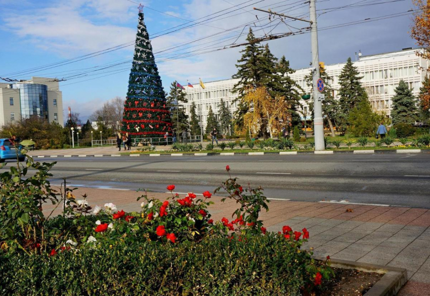 Чья елка длиннее: Новороссийск потягается со столицами на равных