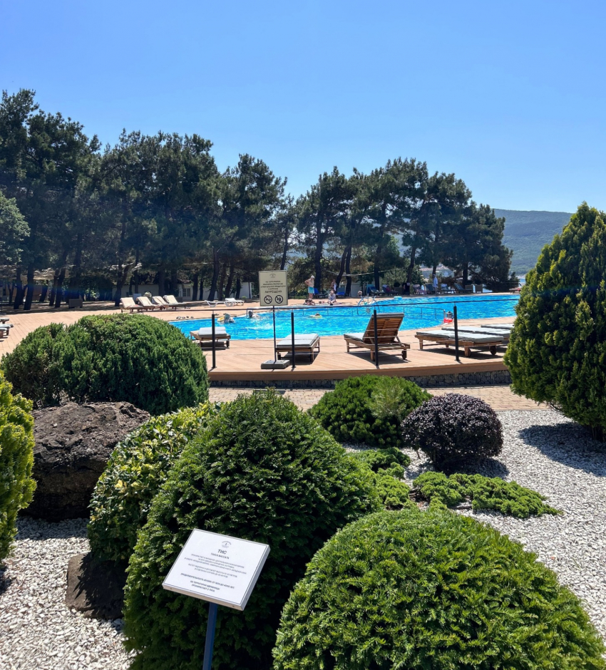 Здоровье и красота: где отдохнуть на Черноморском побережье