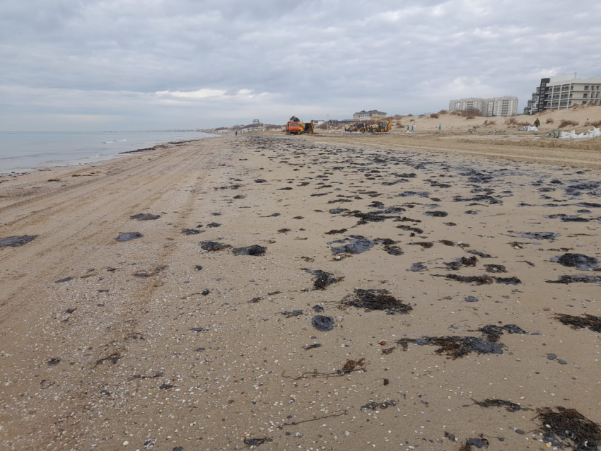 Мазут начал подниматься со дна Черного моря из-за потепления 