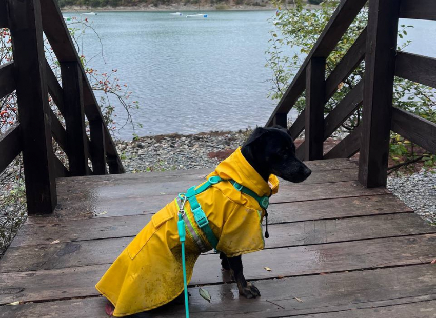 Погода в Новороссийске: весь день дождь, ветер и пасмурно 