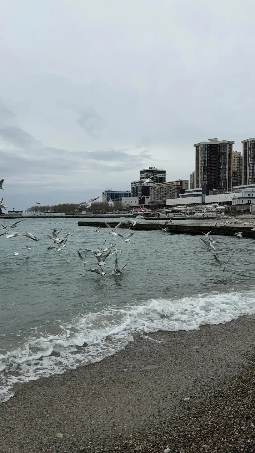 В Новороссийске просохло и потеплело 