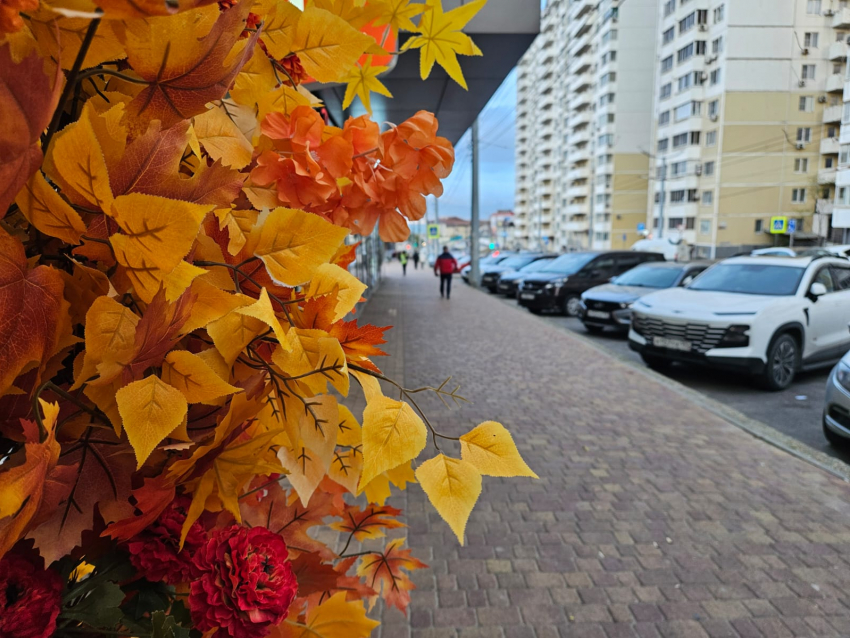 Гороскоп от «Блокнота»: как Ракам, Скорпионам, Рыбам и другим знакам зодиака отдохнуть 