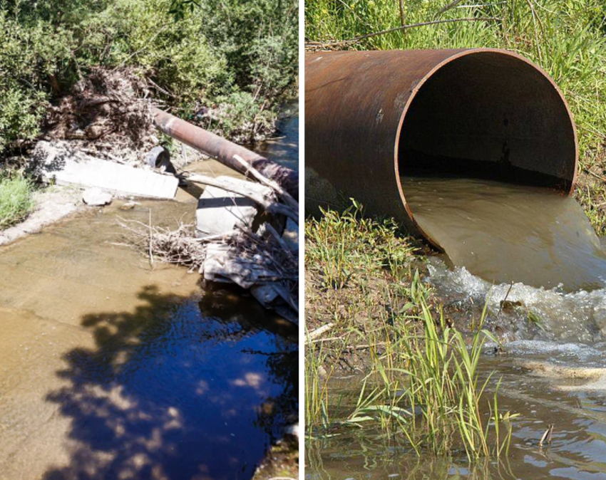 Международный день рек: почему это повод для грусти в Новороссийске 