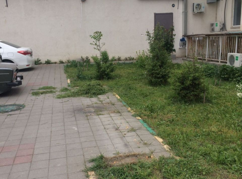 В Новороссийске у ветерана забрали единственную лавочку