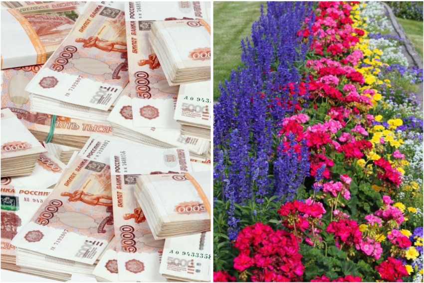 11 миллионов из бюджета Новороссийска потратят на летние цветы 