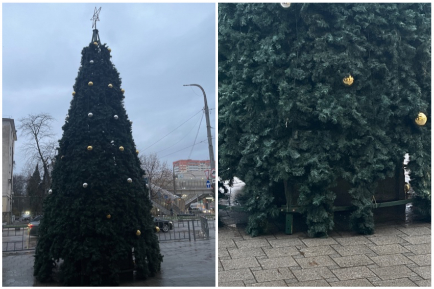 «Позорище!»: новороссийцы раскритиковали елку в центре города 