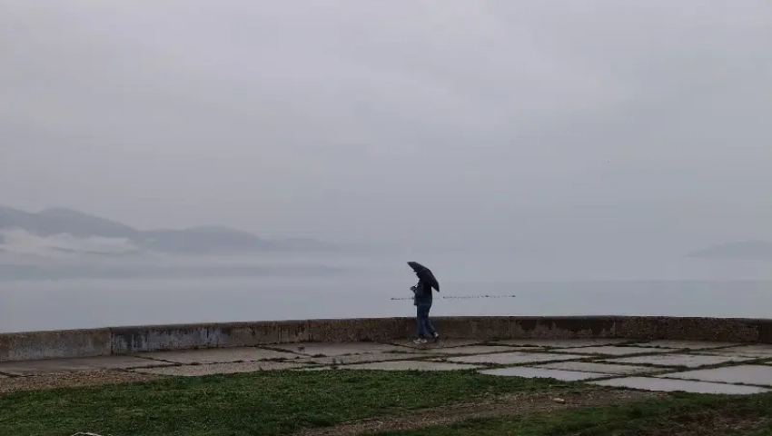 Овнам звезды порекомендовали не спешить, а Близнецам – фильтровать информацию