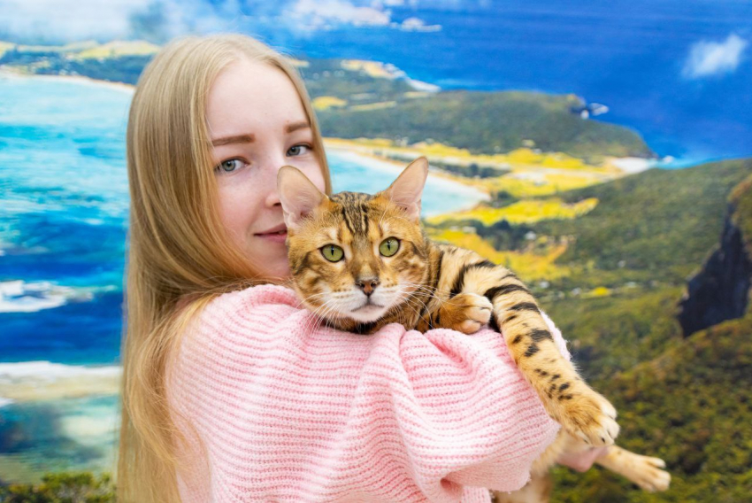 "Страна Мурляндия": необычная выставка кошек впервые приезжает в Новороссийск