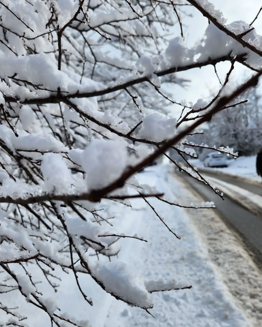 Снежный рекорд: метеорологи рассказали, откуда в Новороссийске столько снега и что будет дальше