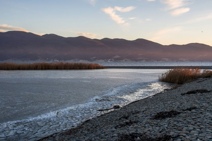 Сотни бакланов найдены мертвыми на Черноморском побережье Новороссийска
