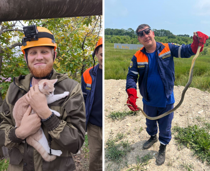 День спасателя: чем новороссийским спасателям запомнится 2025 год