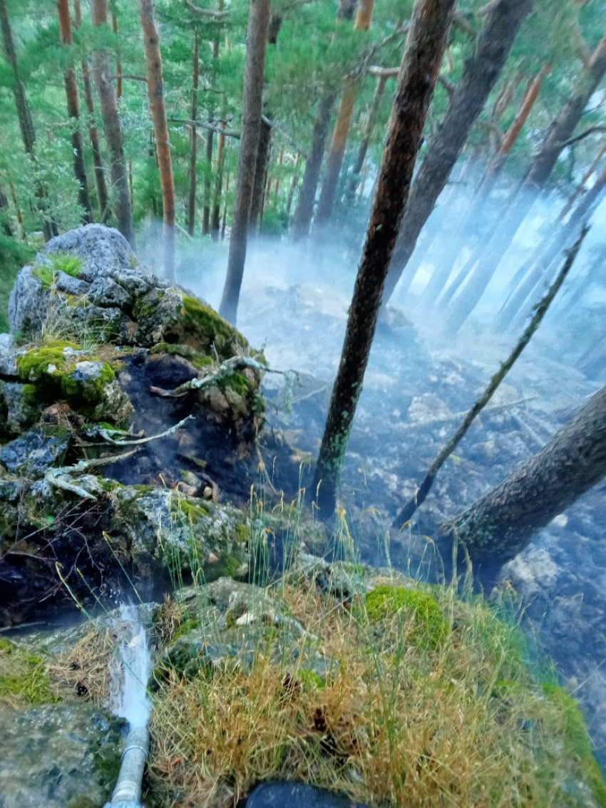 7 лесных пожаров произошло в Геленджике за последний месяц