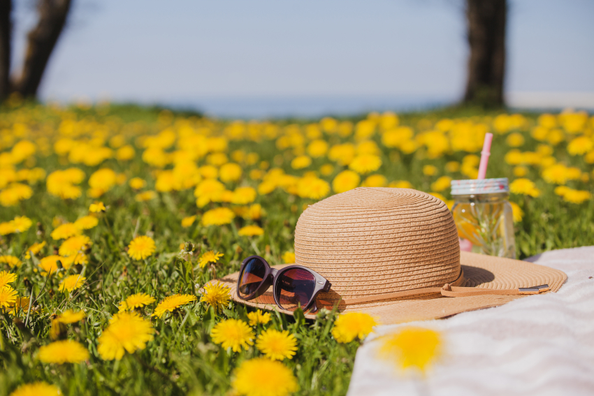 Гороскоп от «Блокнота»: как звезды советуют провести первый день лета