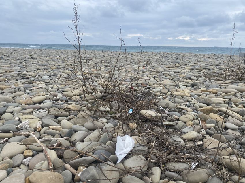 «Чем новороссийцы хуже?»: жительница сравнила состояние пляжей в городе-герое и Геленджике