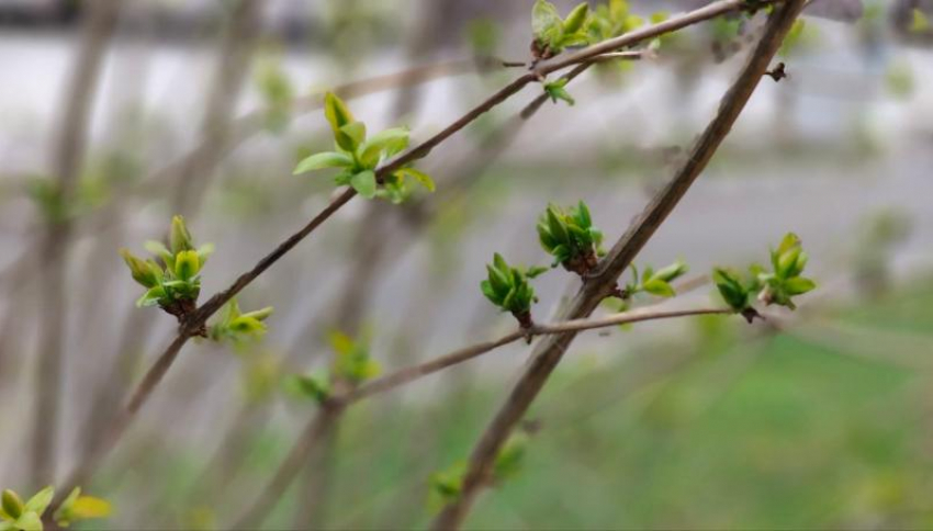 Новороссийская зима расстроилась и льет слезы целый день