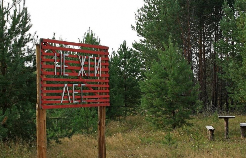 Новороссийцам запретили посещать леса: грозят штрафы 