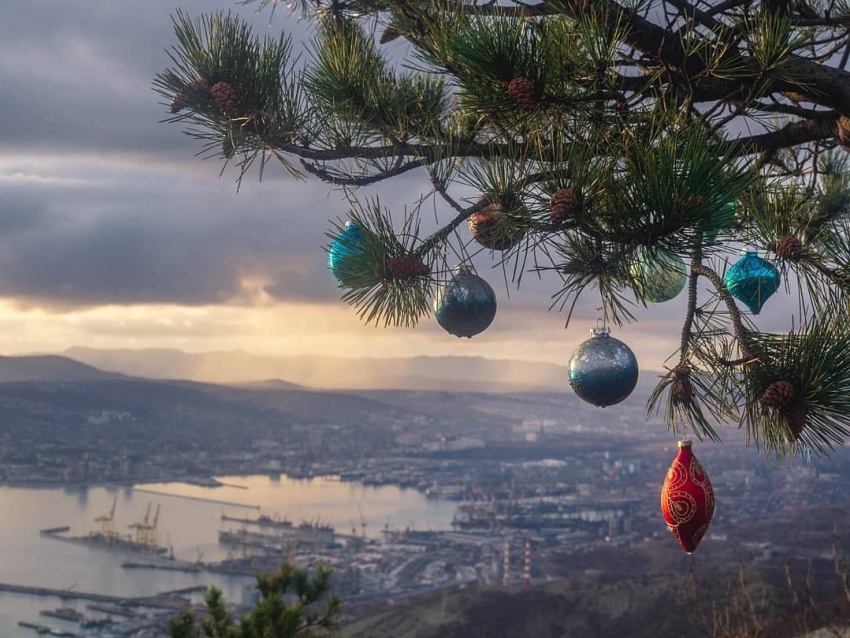 В последний вторник 2020 года в Новороссийске будет тепло 
