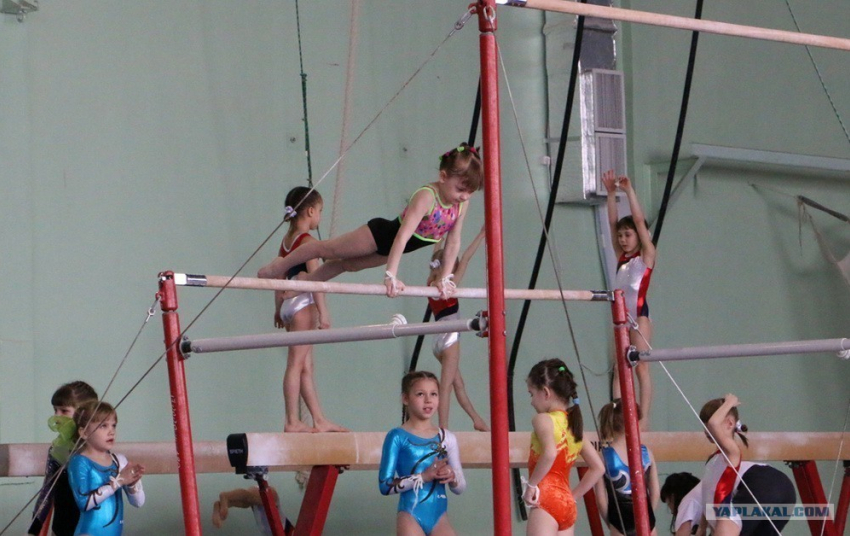 Спортивные гимнасты Новороссийска выступают на первенстве края
