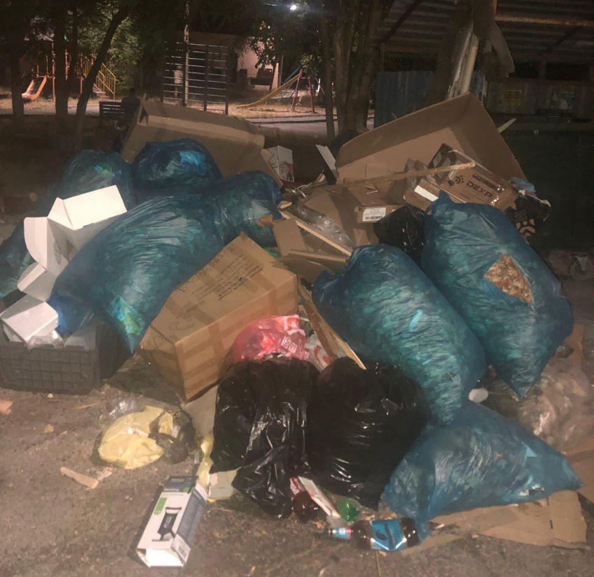 Новороссийцы хотят построить новый дом из мусора на контейнерной площадке 