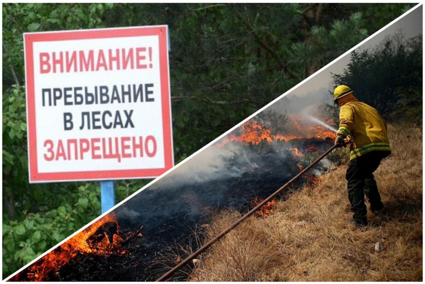 Почему новороссийцам лучше воздержаться от походов в лес 