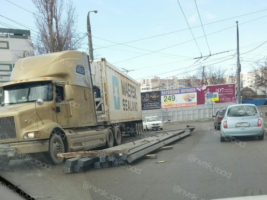  Понедельник в Новороссийске: на дороги  выехали «потеряшки"