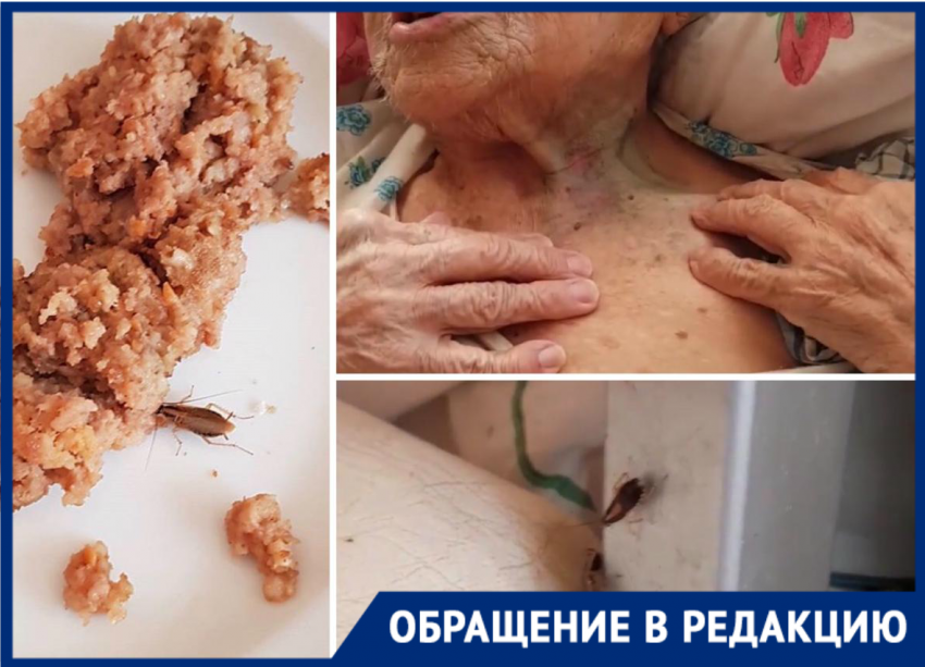 Новороссийский дом престарелых кишит тараканами 