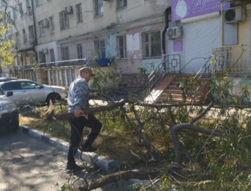 Ураган в Новороссийске не утихнет: коммунальные службы разгребают завалы