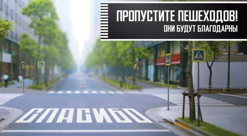В Новороссийске по вине пешеходов произошло 23 ДТП
