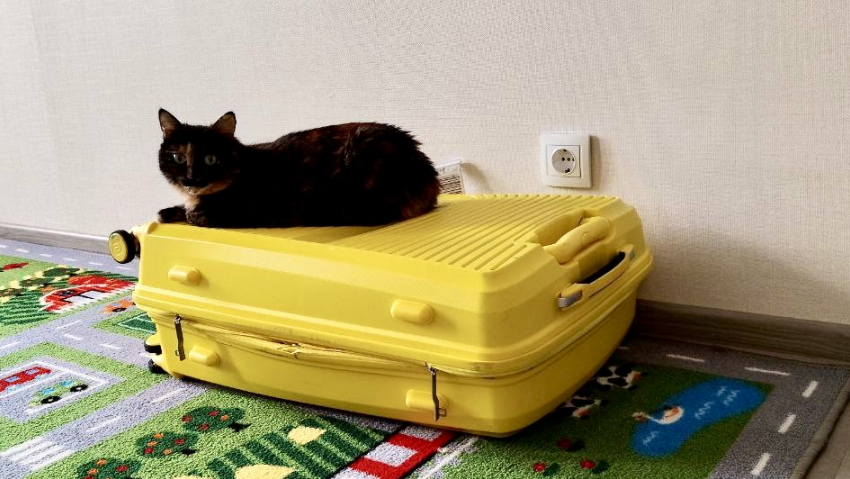 Гороскоп от «Блокнота»: как сложится сегодняшний день 