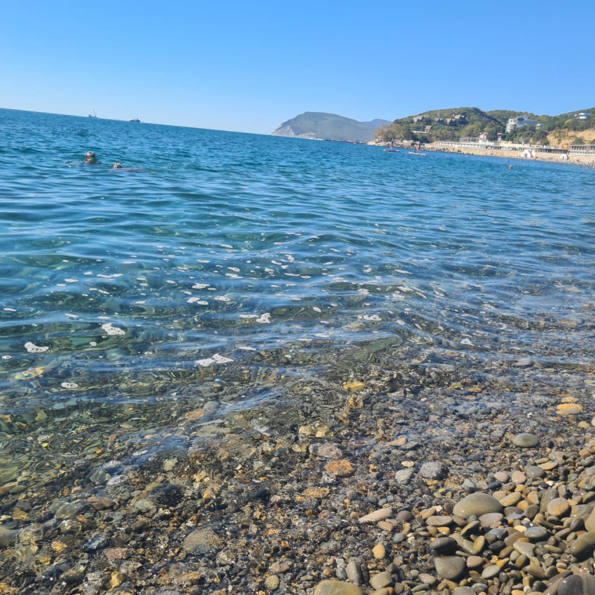 Фекалии и пена в Черном море распугали отдыхающих в Новороссийске