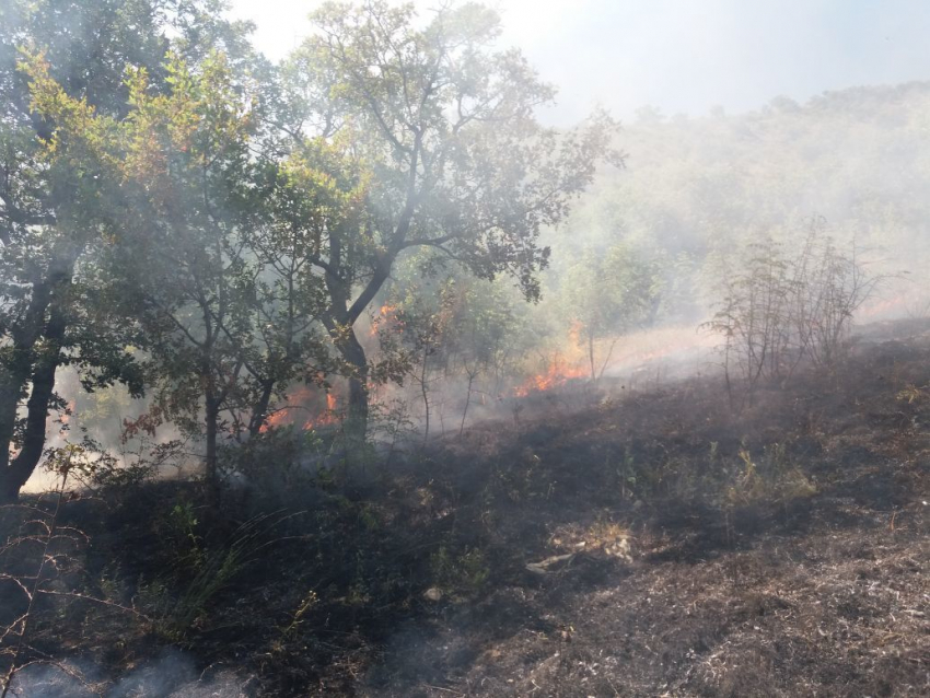 Крупный лесной пожар ликвидировали в Новороссийске