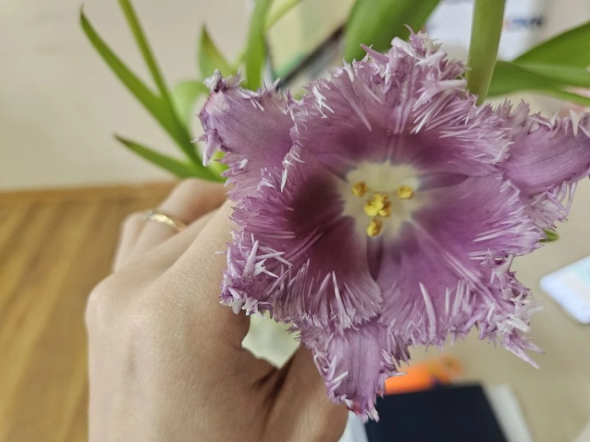 Гороскоп от «Блокнота»: Тельцам уделить время близким, а Водолеям искать знаки