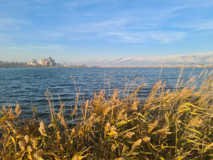 Погода в Новороссийске: день с настоящей весной и ярким солнцем