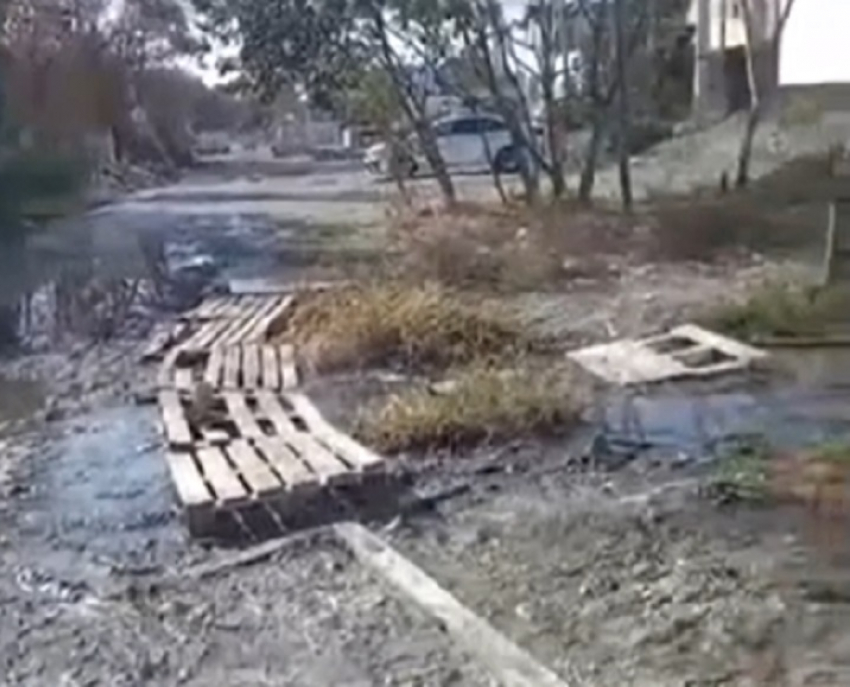 "Утопаем в г*вне!": зловонная река льется рядом с домами новороссийцев 