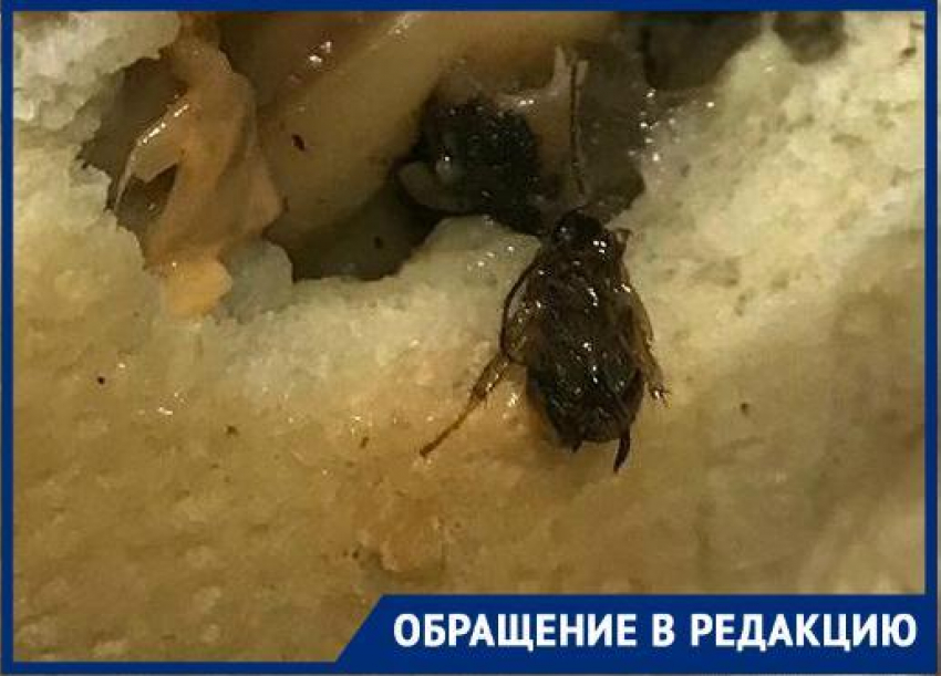 Бутерброд с тараканами подали жительнице Новороссийска