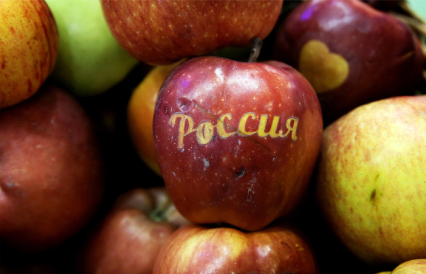 Впервые российские яблоки пошли на экспорт через Новороссийск
