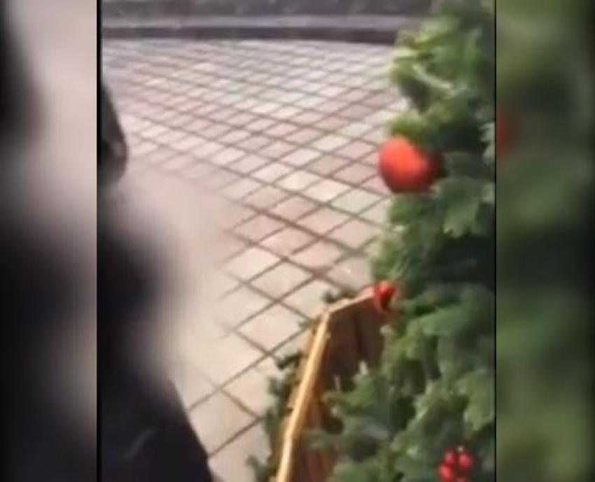 Подросток помочился на ёлку в центре Новороссийска