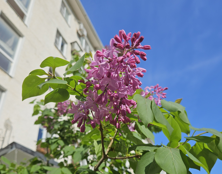 Погода в Новороссийске: день солнечный, а ветер холодный 
