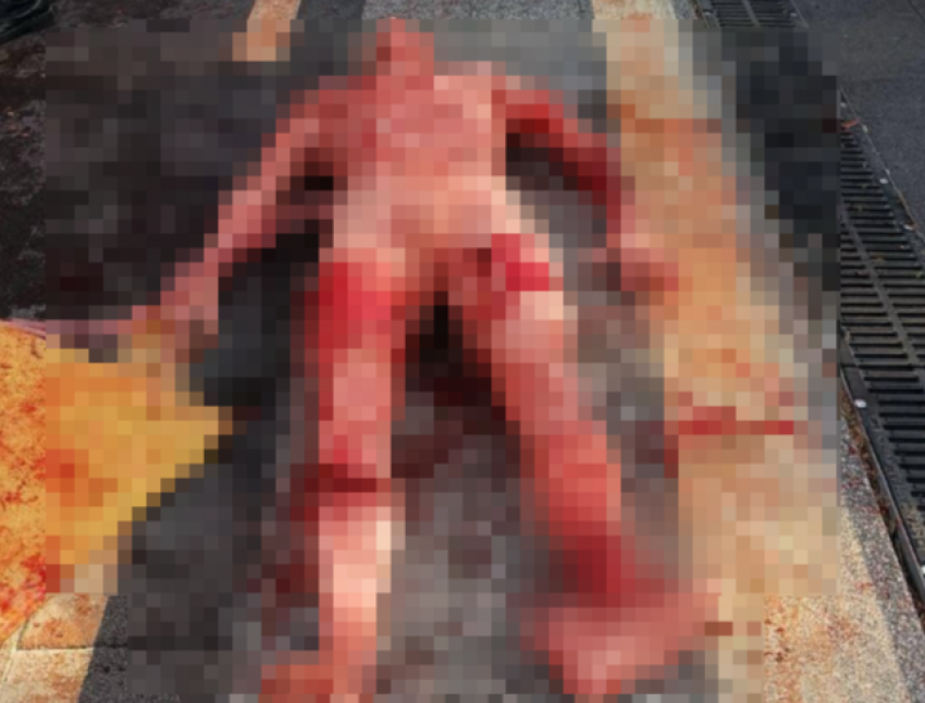 18+ Окровавленный и голый: скандал с манекеном в Новороссийске превратился в травлю   